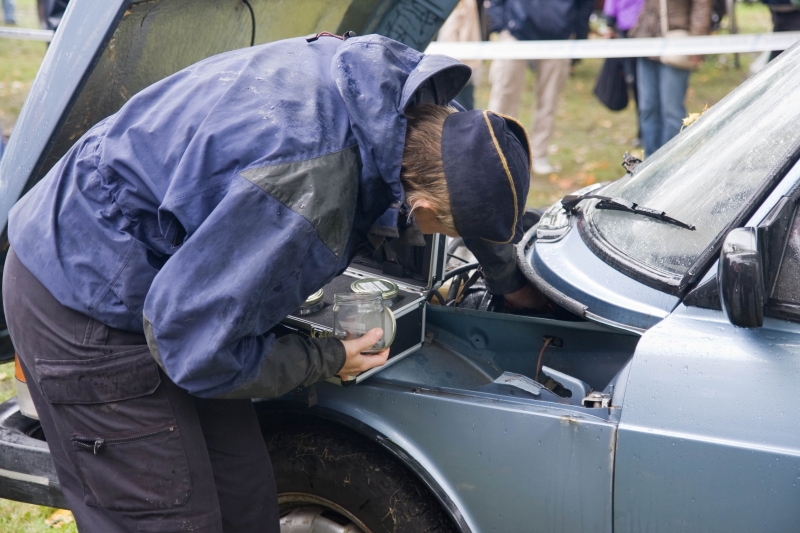 Aktiviteter 2008_23.jpg